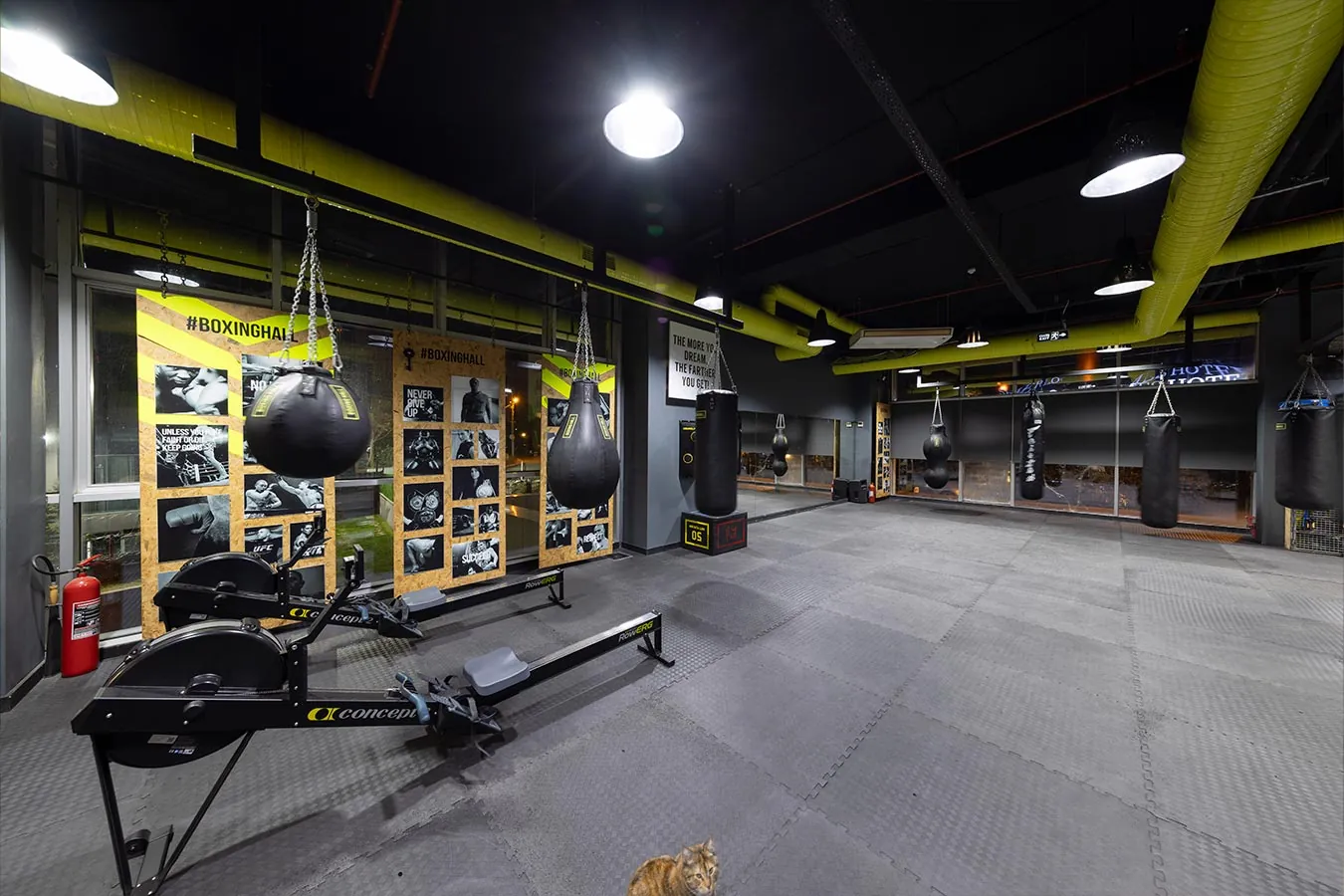 Boxinghall pencere hattındaki kürek ve kondisyon alanı