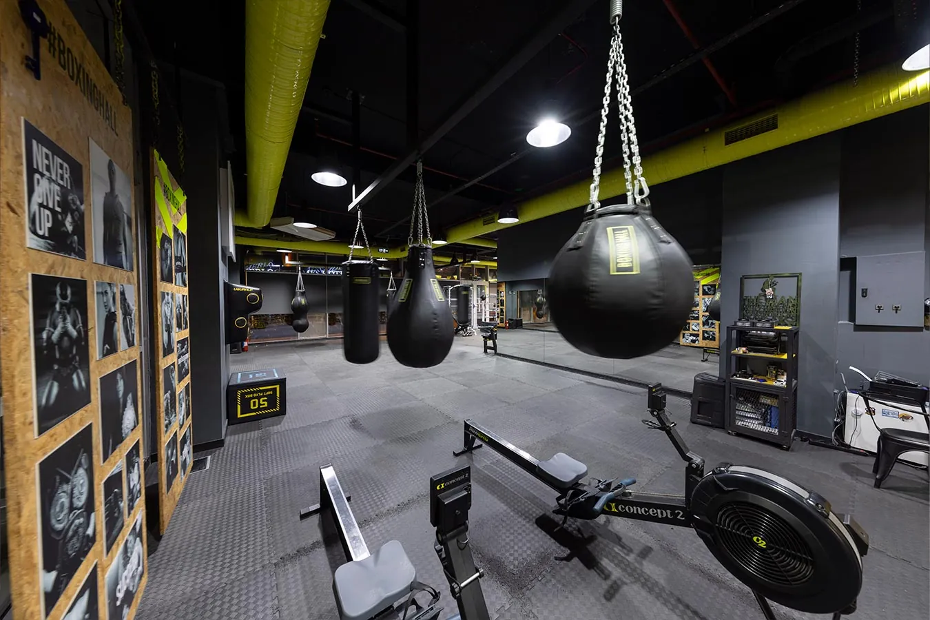 Boxinghall torba hattı ve armut torba alanı